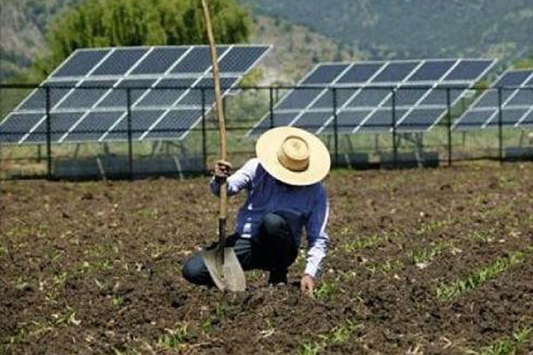 AGRONEGÓCIO APOSTA EM ENERGIA SOLAR PARA REDUZIR CUSTOS