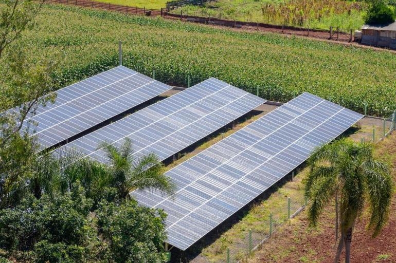 O ano da energia solar nas propriedades familiares e cooperativas 